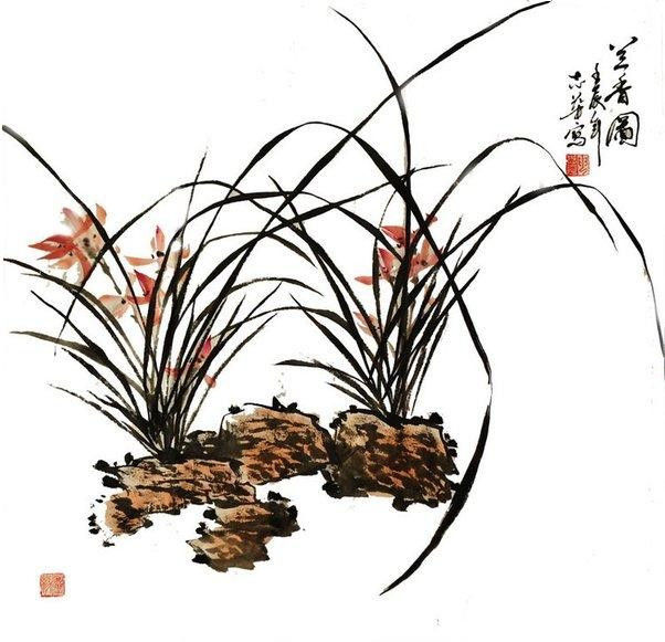 梅兰竹菊—兰视觉艺术作品