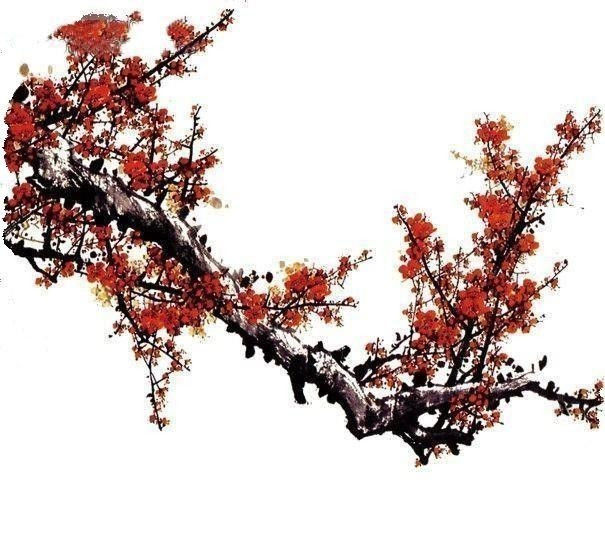 梅兰竹菊—梅视觉艺术作品