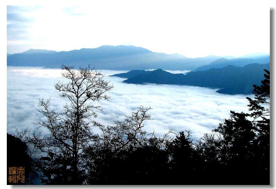 初夏迷人的阿里山风光