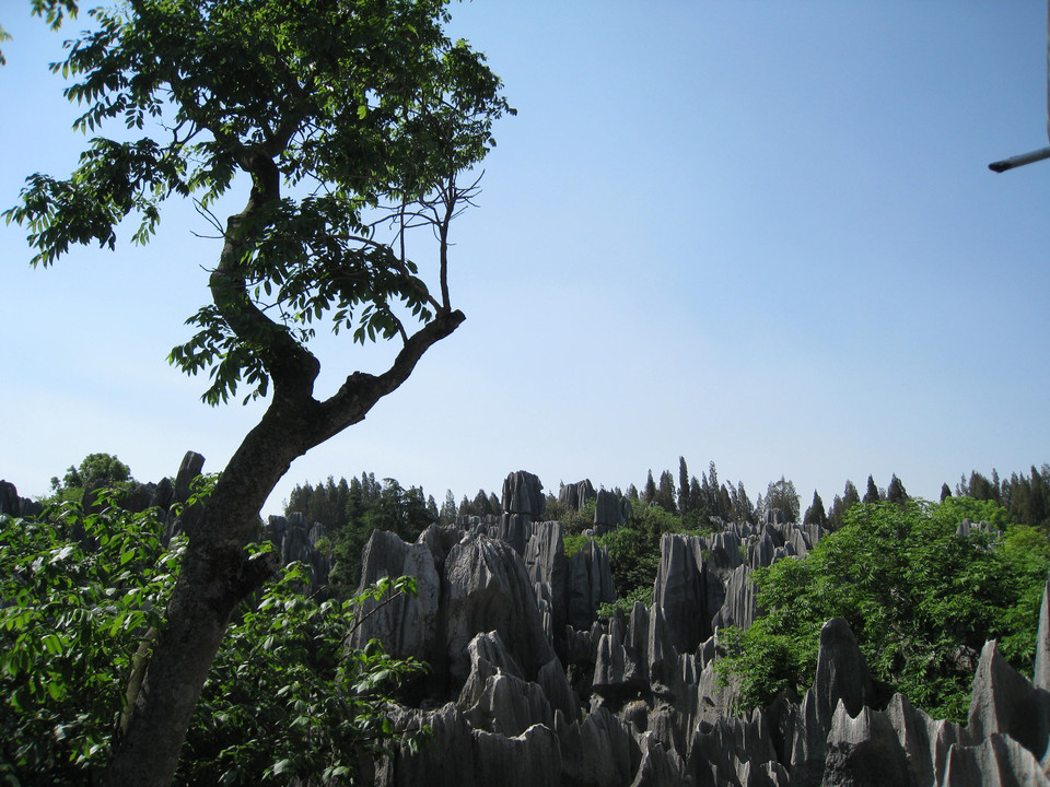 魅力中华风景--云南石林