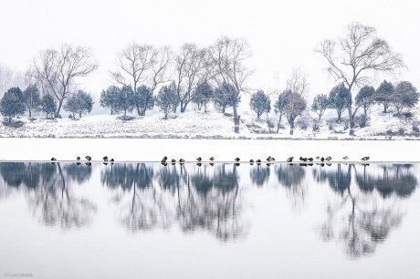 唯美雪后帝都 