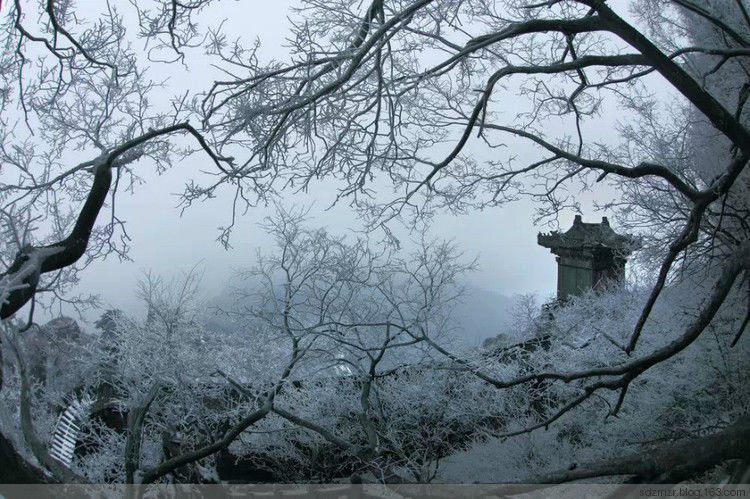 大雪封冻武当山美景摄影艺术