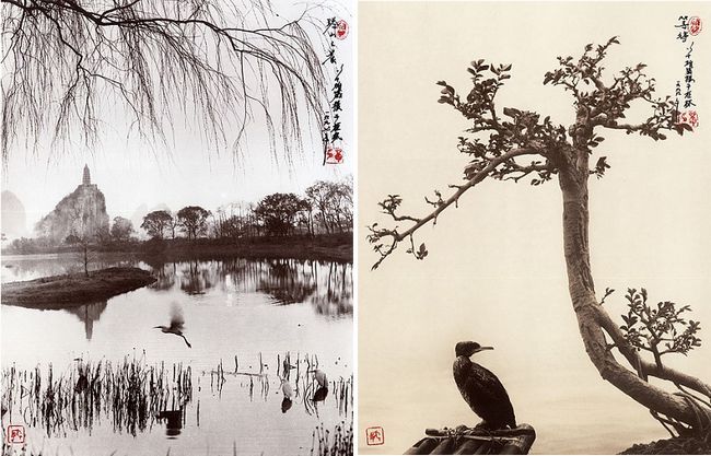 华人摄影家单雄威（Don Hong-Oai）的浓墨重彩水墨照