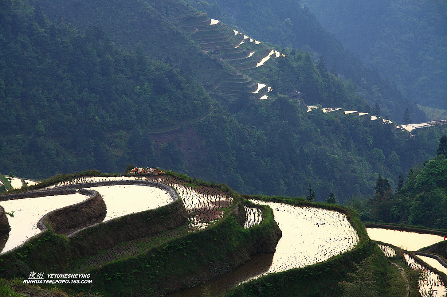 中国最美的山水画--苗寨梯田美景