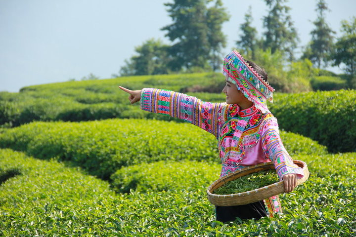 茶山阿妹俏模样的民族服饰艺术