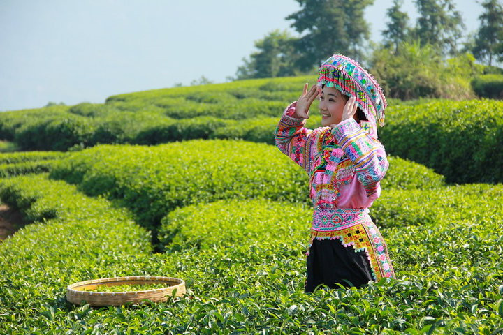 茶山阿妹俏模样的民族服饰艺术