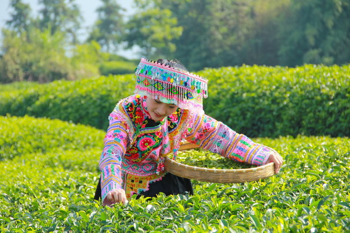 茶山阿妹俏模样的民族服饰艺术