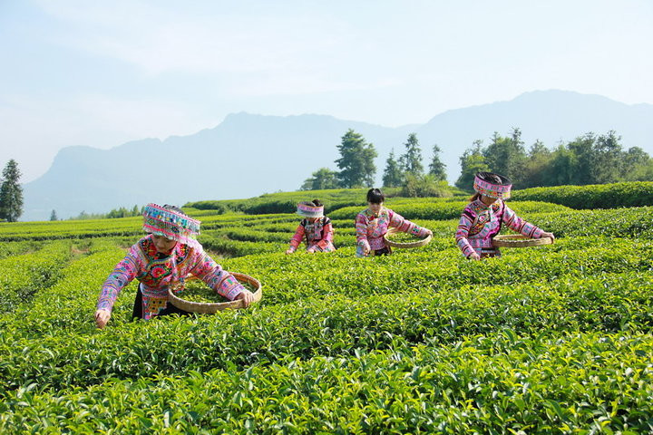 茶山阿妹俏模样的民族服饰艺术