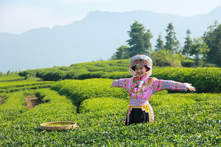 茶山阿妹俏模样的民族服饰艺术