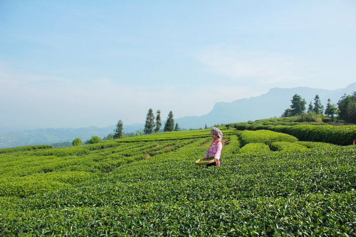 茶山阿妹俏模样的民族服饰艺术