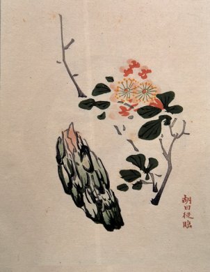 饾版胡正言的《十竹斋画谱》（三） 