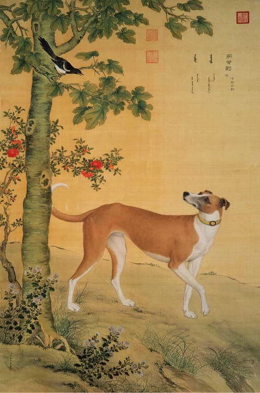 清代宫廷画家郎世宁作品犬