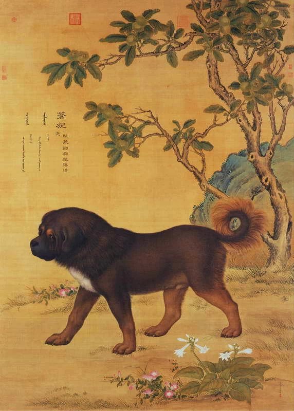 清代宫廷画家郎世宁作品犬