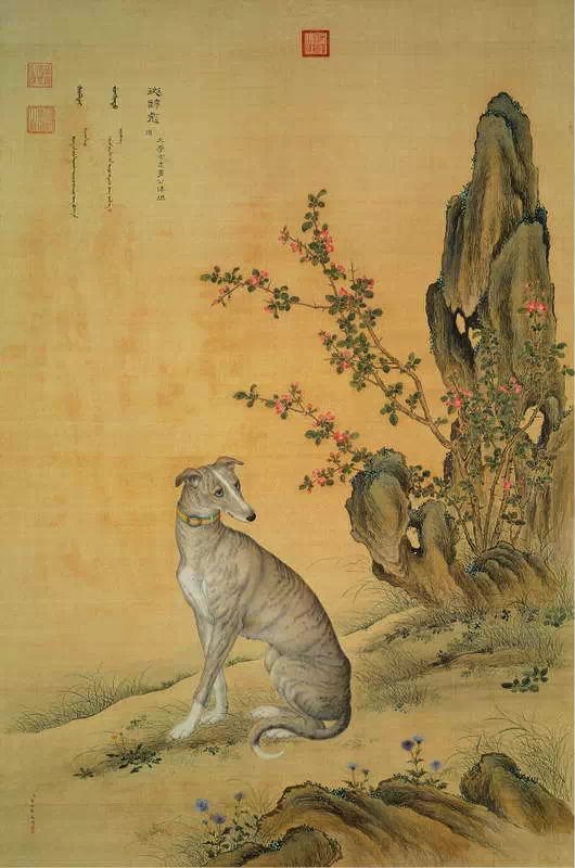 清代宫廷画家郎世宁作品犬