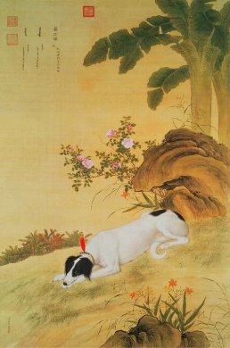 清代宫廷画家郎世宁作品犬