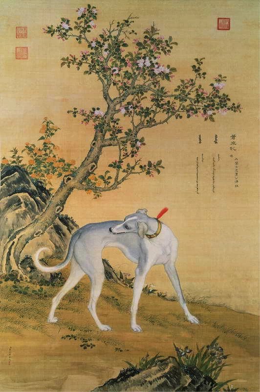 清代宫廷画家郎世宁作品犬