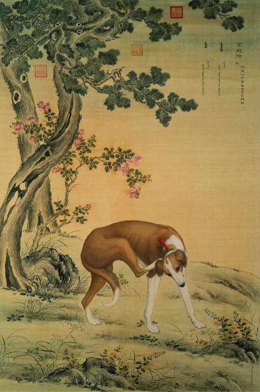 清朝宫廷犬图片