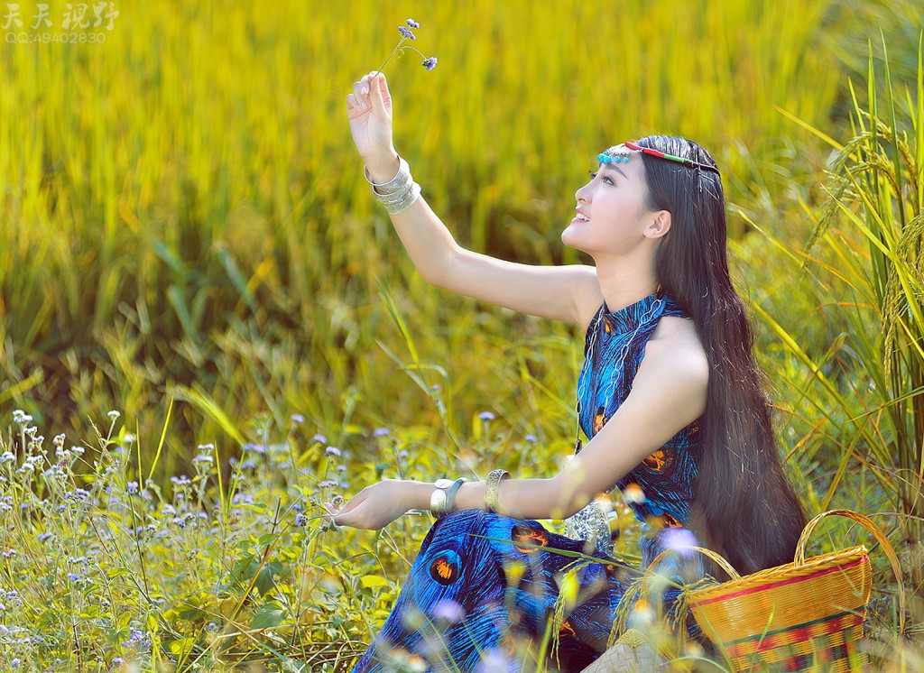 古风唯美稻田人像摄影艺术