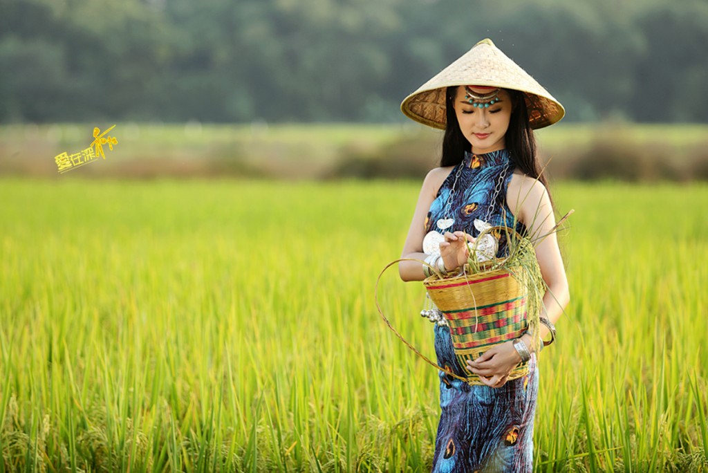 古风唯美稻田人像摄影艺术