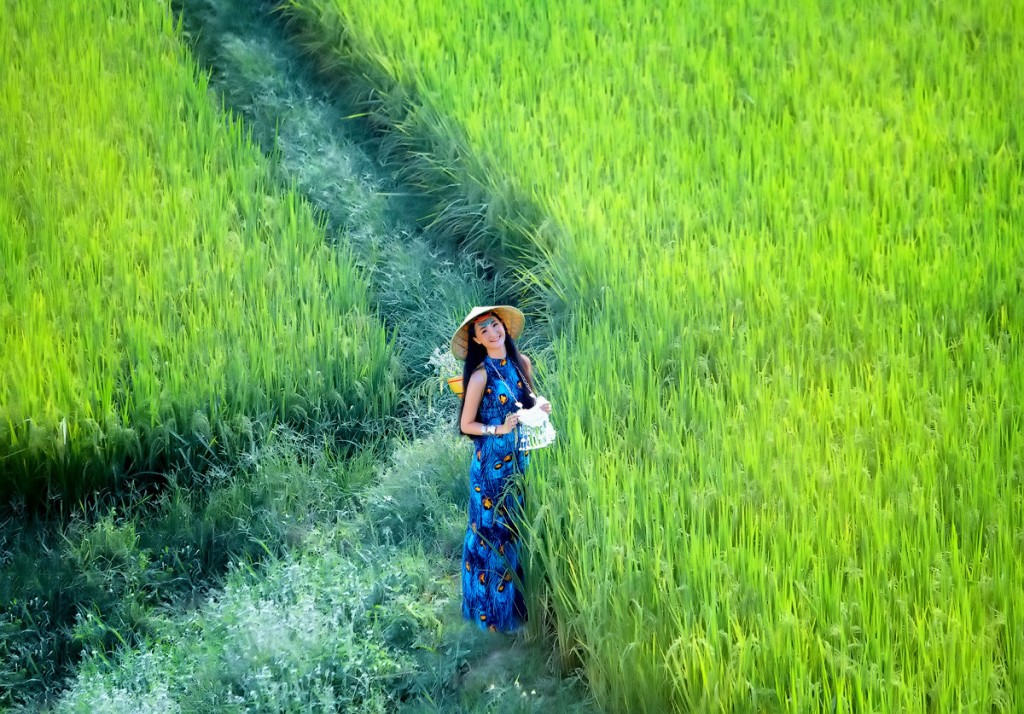 古风唯美稻田人像摄影艺术