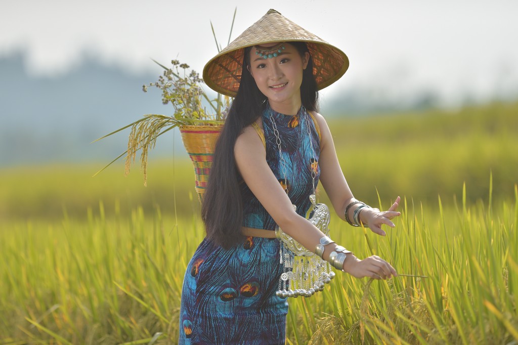 古风唯美稻田人像摄影艺术